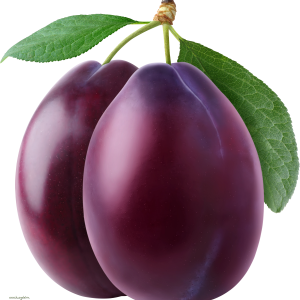 Plum PNG image