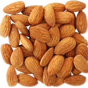 Almond PNG
