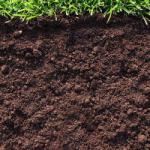 Soil PNG