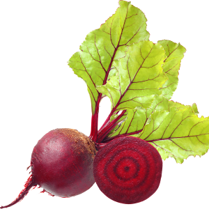 Beet PNG