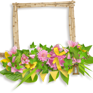 Floral frame PNG