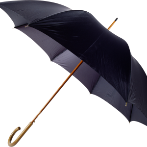 Umbrella PNG