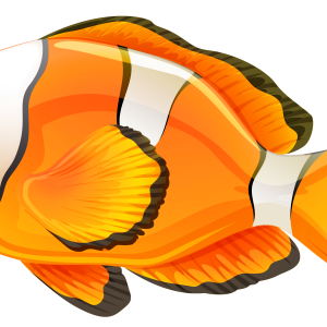 Fish PNG
