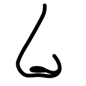 Human nose PNG