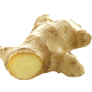 Ginger PNG