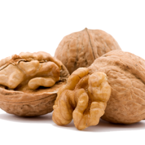 Walnut PNG