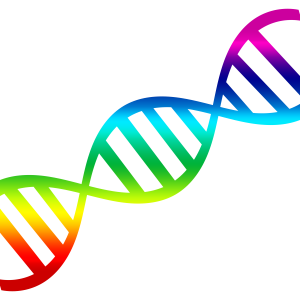 DNA PNG