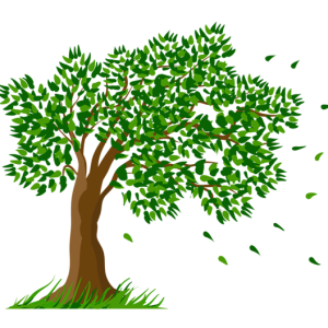 tree PNG