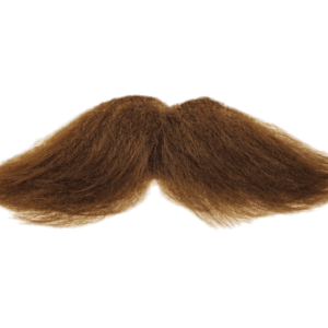 Moustache PNG