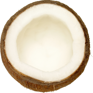 PNG Coconut