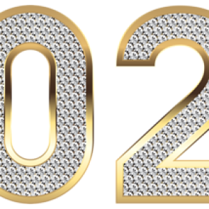 2020 Year PNG