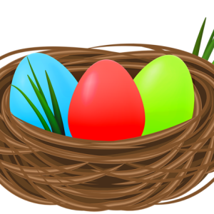 Nest PNG