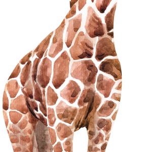 Giraffe PNG