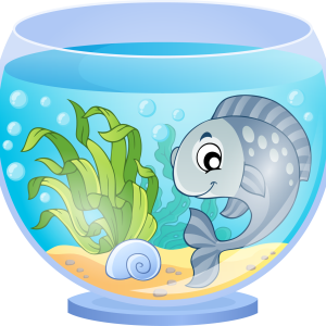 Aquarium PNG
