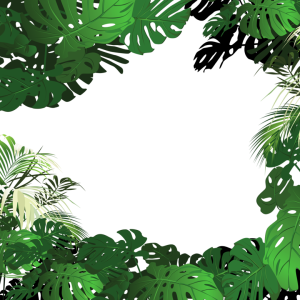 Jungle PNG