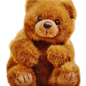 Teddy bear PNG