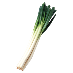 Leek PNG