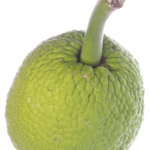 Jackfruit PNG picture