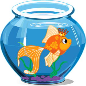 Aquarium PNG