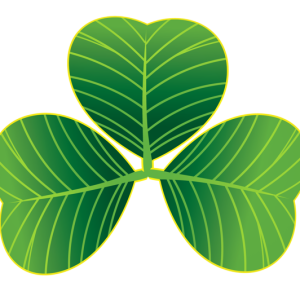 Shamrock PNG