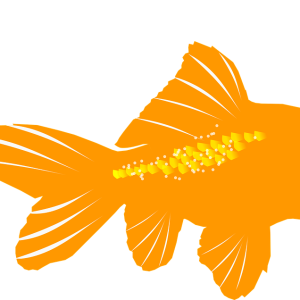 Goldfish PNG