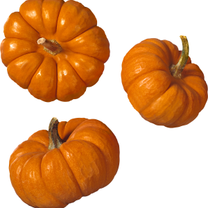 Pumpkin PNG