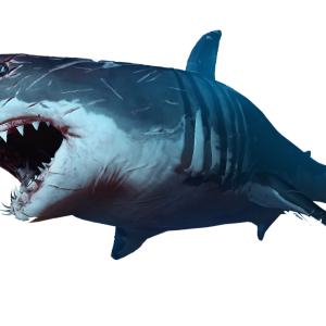 Shark PNG