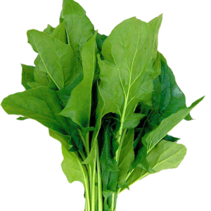 Spinach PNG