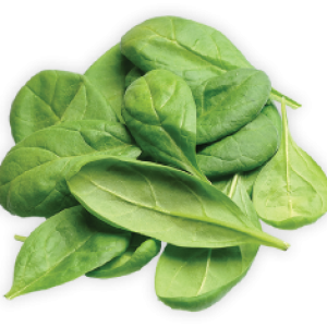 Spinach PNG