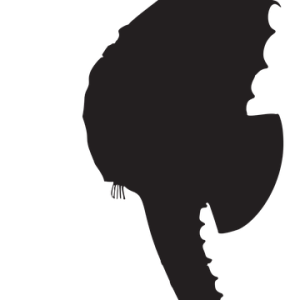 Seahorse PNG