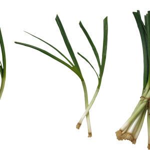 Leek PNG