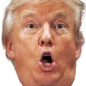 Donald Trump PNG