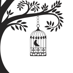 Cage bird PNG