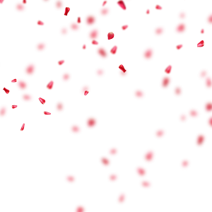 Confetti PNG