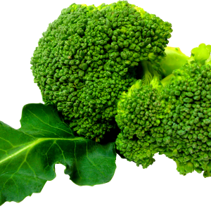 Green Broccoli PNG image