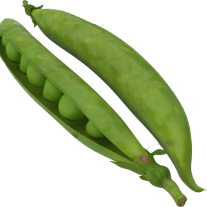 Pea PNG