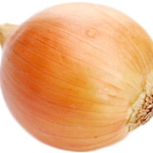 Onion PNG image, free download picture