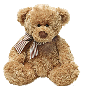 Teddy bear PNG