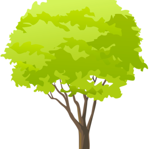 tree PNG