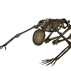 Skeleton PNG