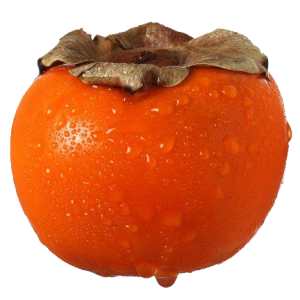 Persimmon PNG image