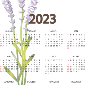 Calendar 2023 PNG