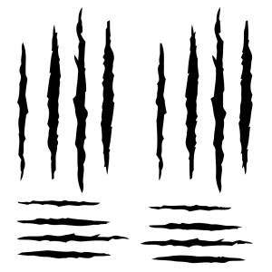 Scratches claw PNG image