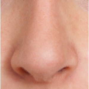 Human nose PNG