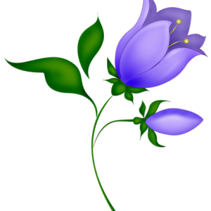 Bellflower PNG