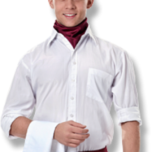 Waiter PNG