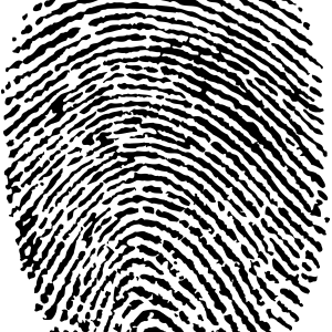 Fingerprint PNG