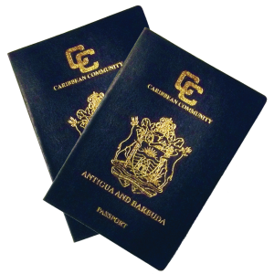 Passport PNG