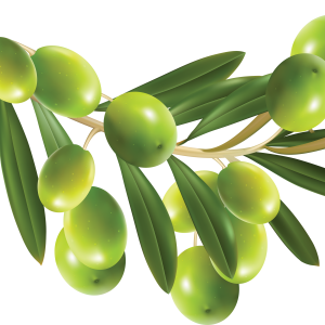 Green olives PNG