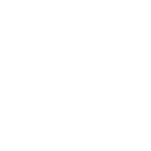 Twitter logo PNG